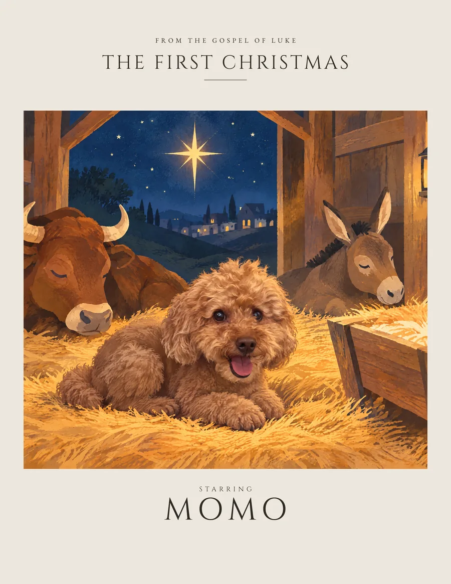The First Christmas, starring Momo