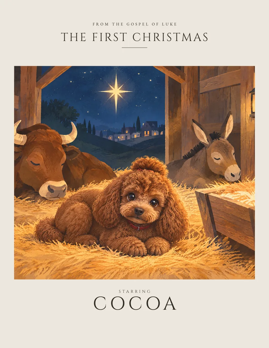 The First Christmas, starring Cocoa